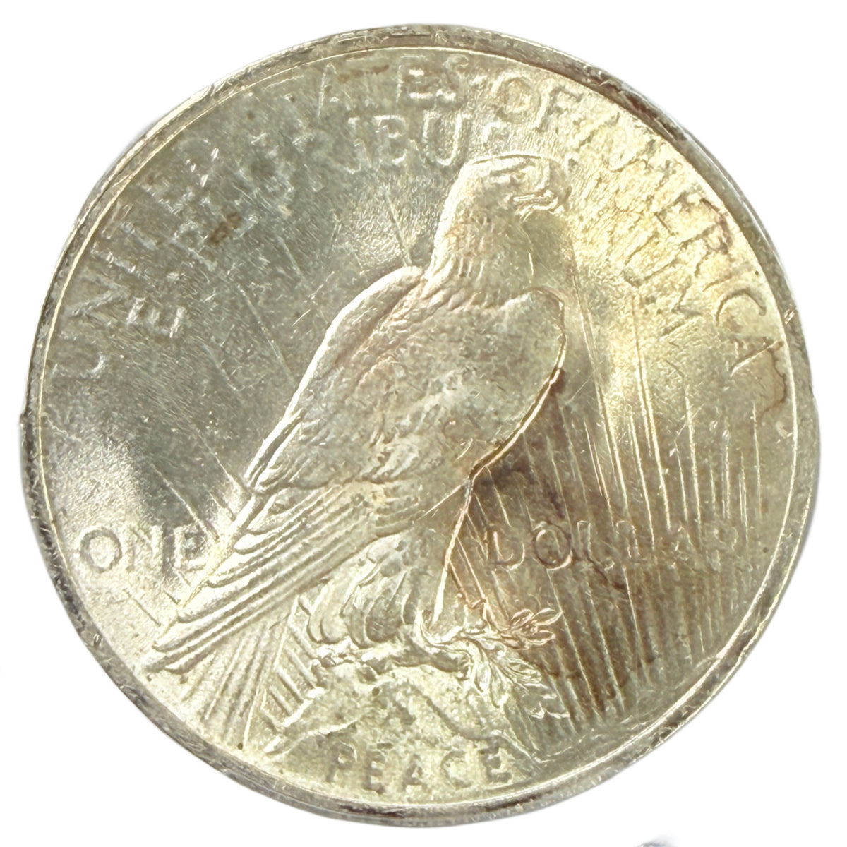 1923 Peace Silver Dollar PCGS MS63