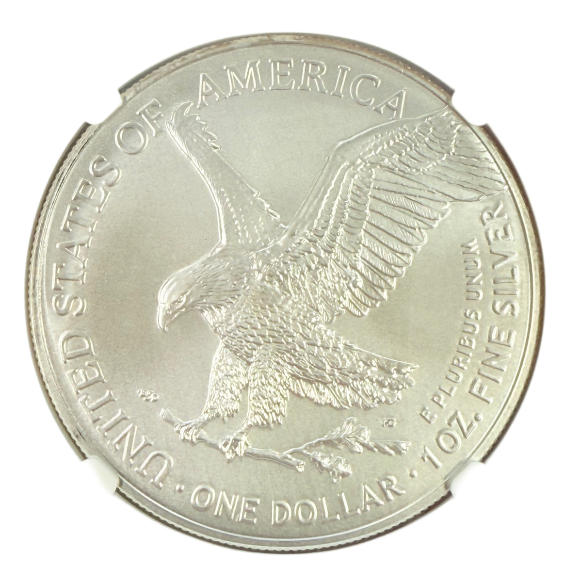 2023 1 oz American Silver Eagle NGC MS69
