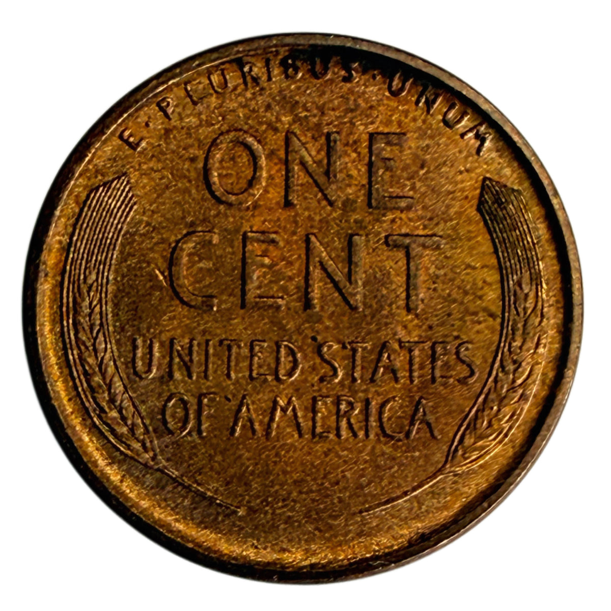 1909 V.D.B. Lincoln Cent (BU)