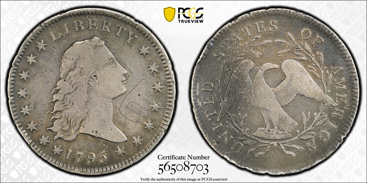 1795 Flowing Hair Dollar PCGS F Detail