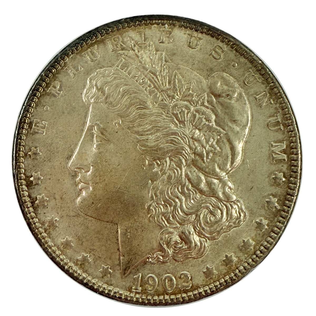 1902 Morgan Silver Dollar SEGS MS62