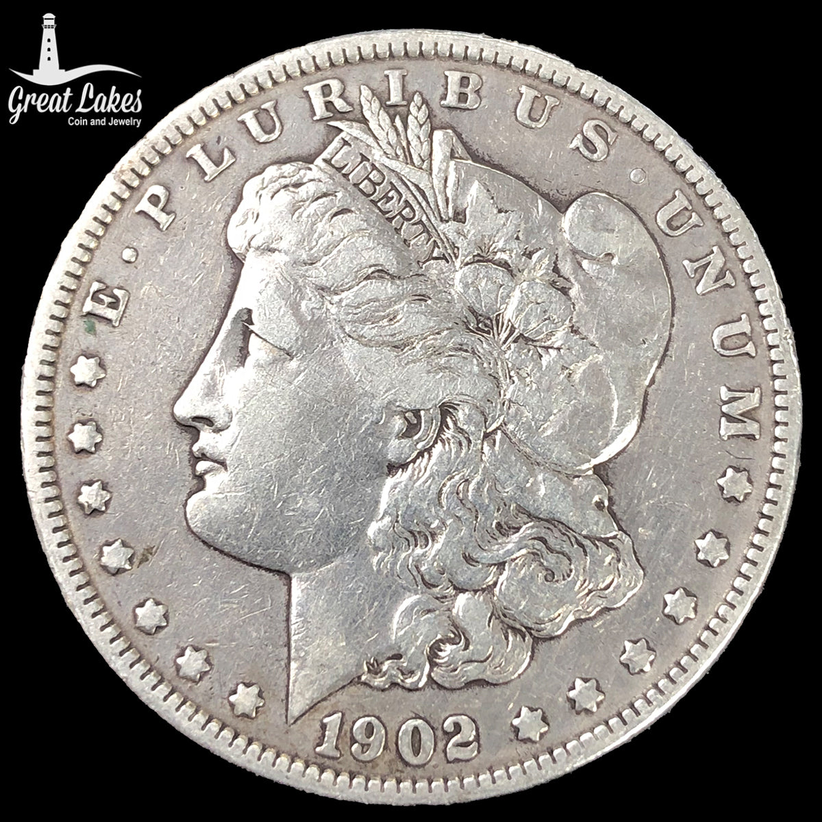 1902 Morgan Silver Dollar (VF Details)