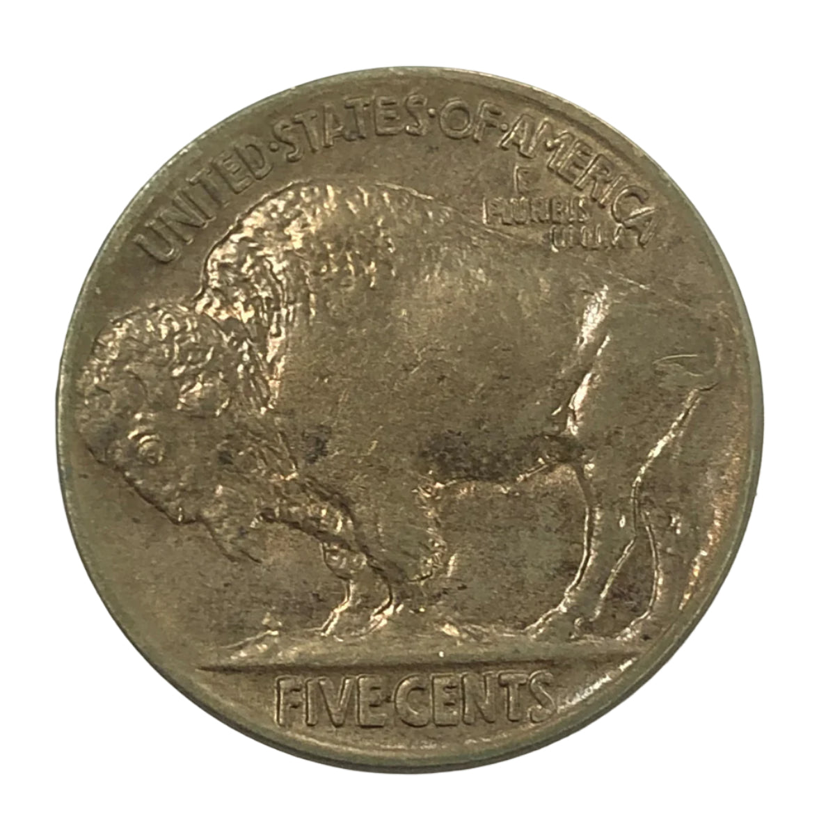 1913 Type 2 Buffalo Nickel (AU) (Planchet Defect Obverse)
