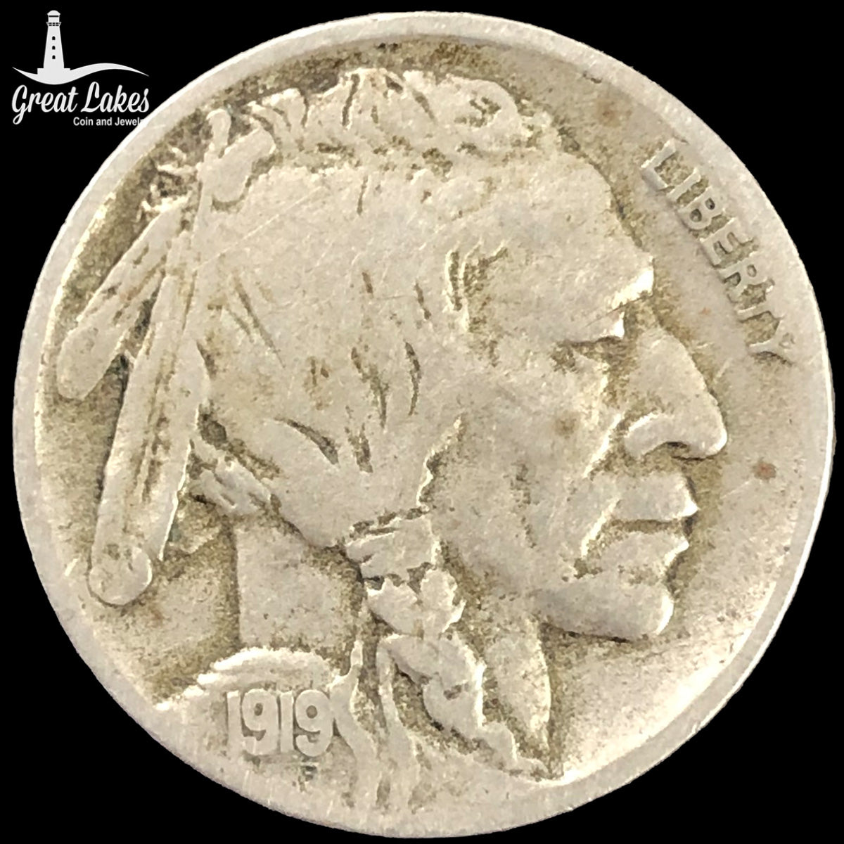 1919-D Buffalo Nickel (F)