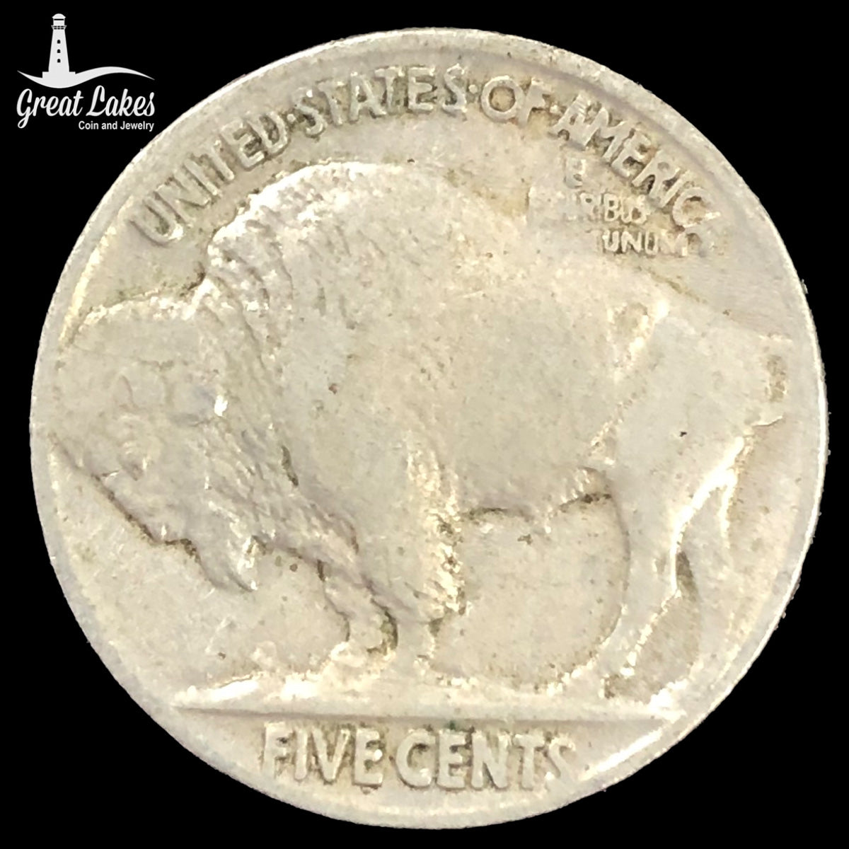 1919 Buffalo Nickel (VF)