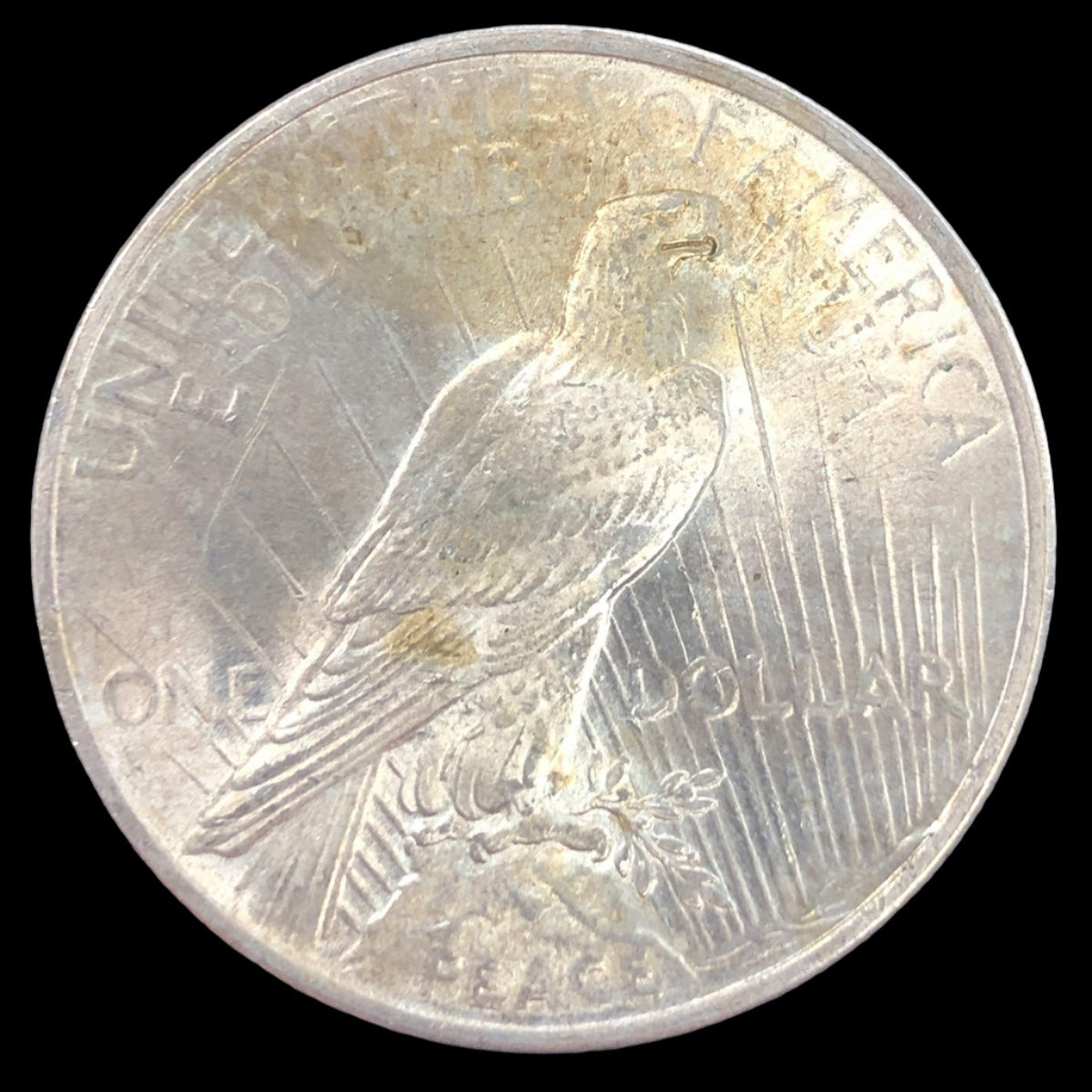 1924 Peace Silver Dollar (BU)