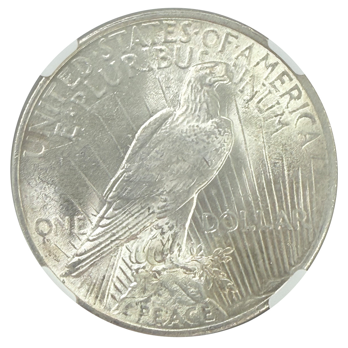 1924 Peace Silver Dollar NGC MS62