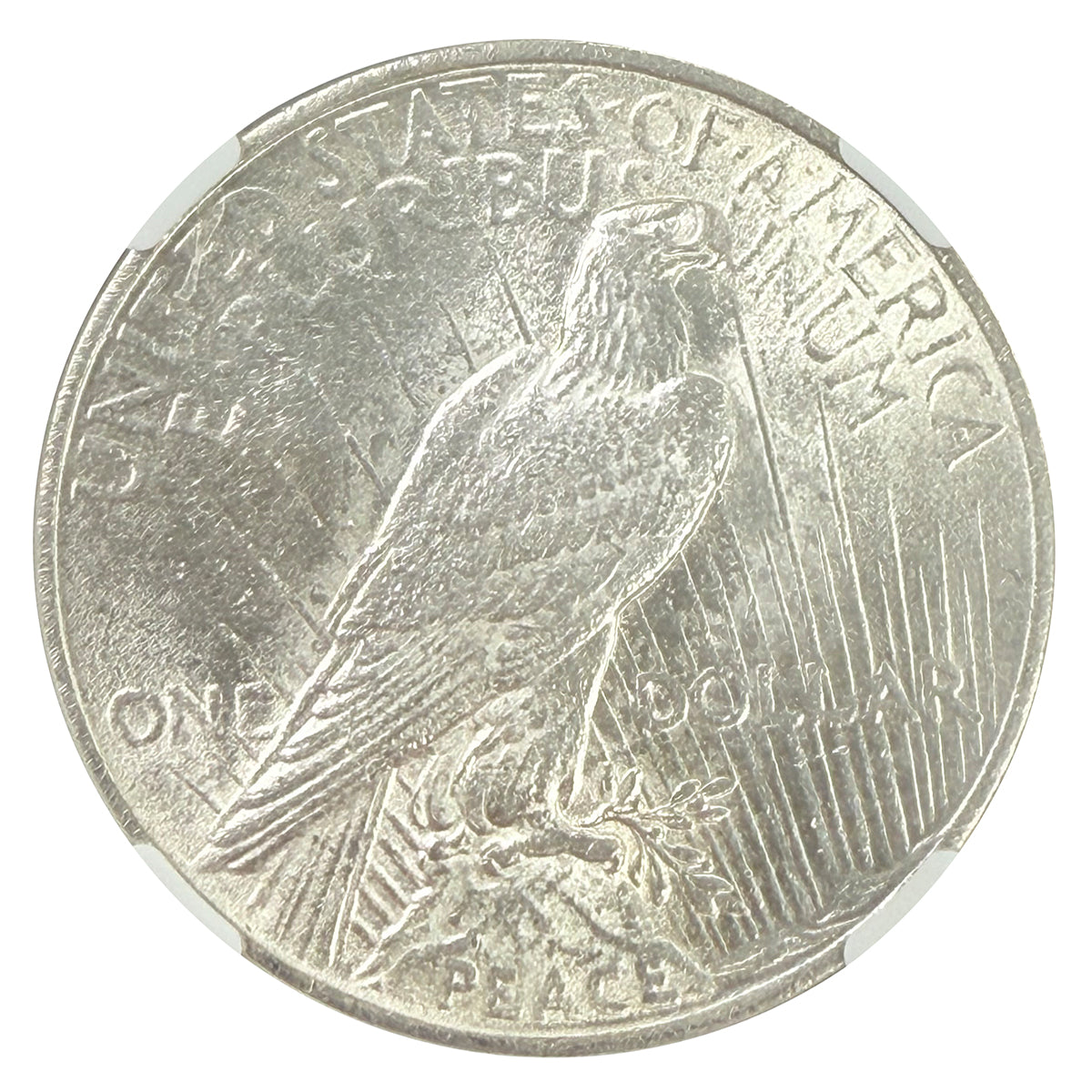 1924 Peace Silver Dollar NGC Brilliant Uncirculated