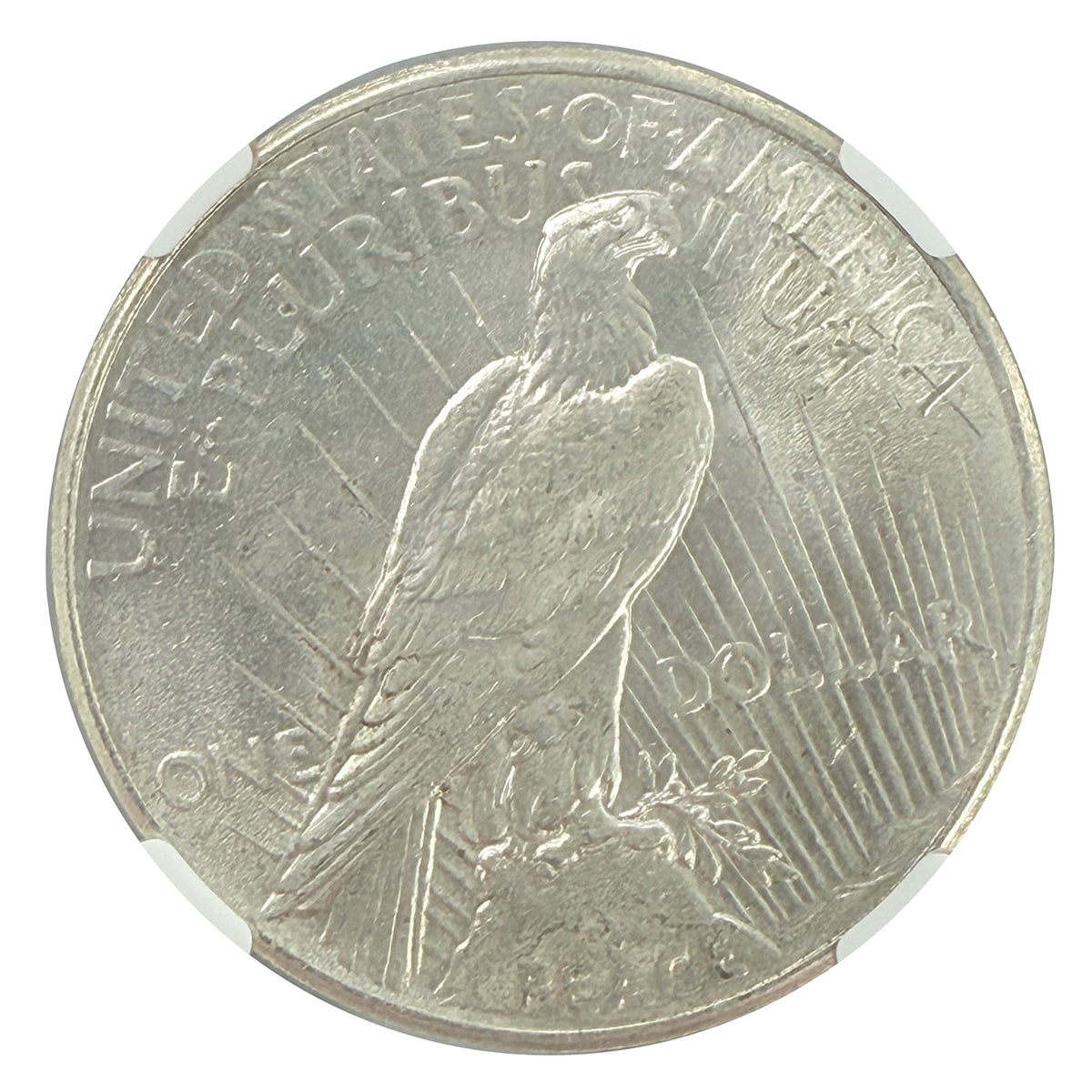 1925 Peace Silver Dollar NGC MS62