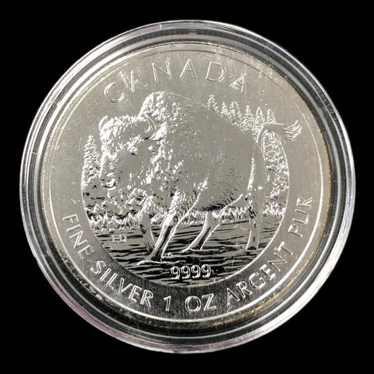 2013 Canadian 1 oz Silver Wood Bison