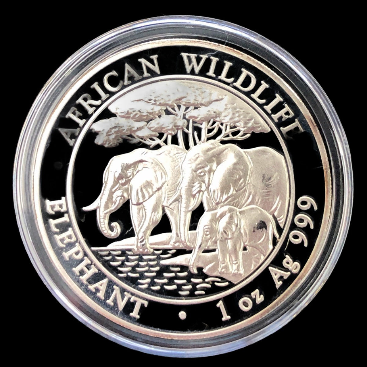 2013 Somalian 1 oz Silver African Elephant (Secondary)