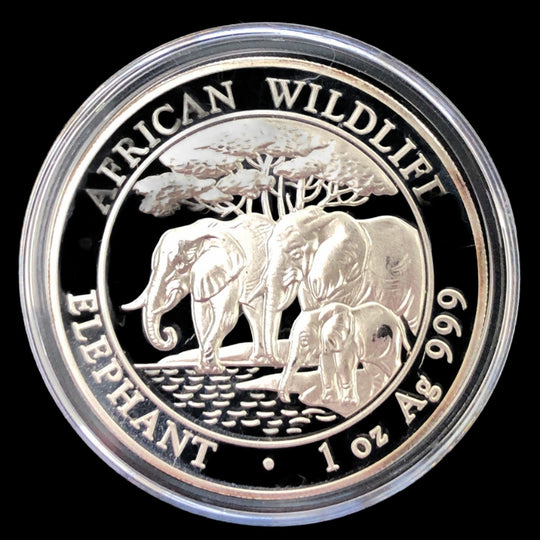 2013 Somalian 1 oz Silver African Elephant (Secondary)