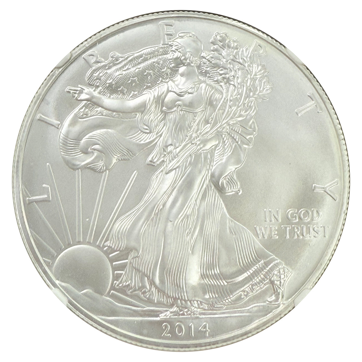 2014-S 1 oz American Silver Eagle NGC MS70 ER