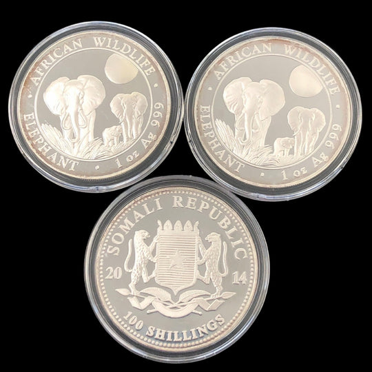 2014 Somalian 1 oz Silver African Elephant (Secondary)