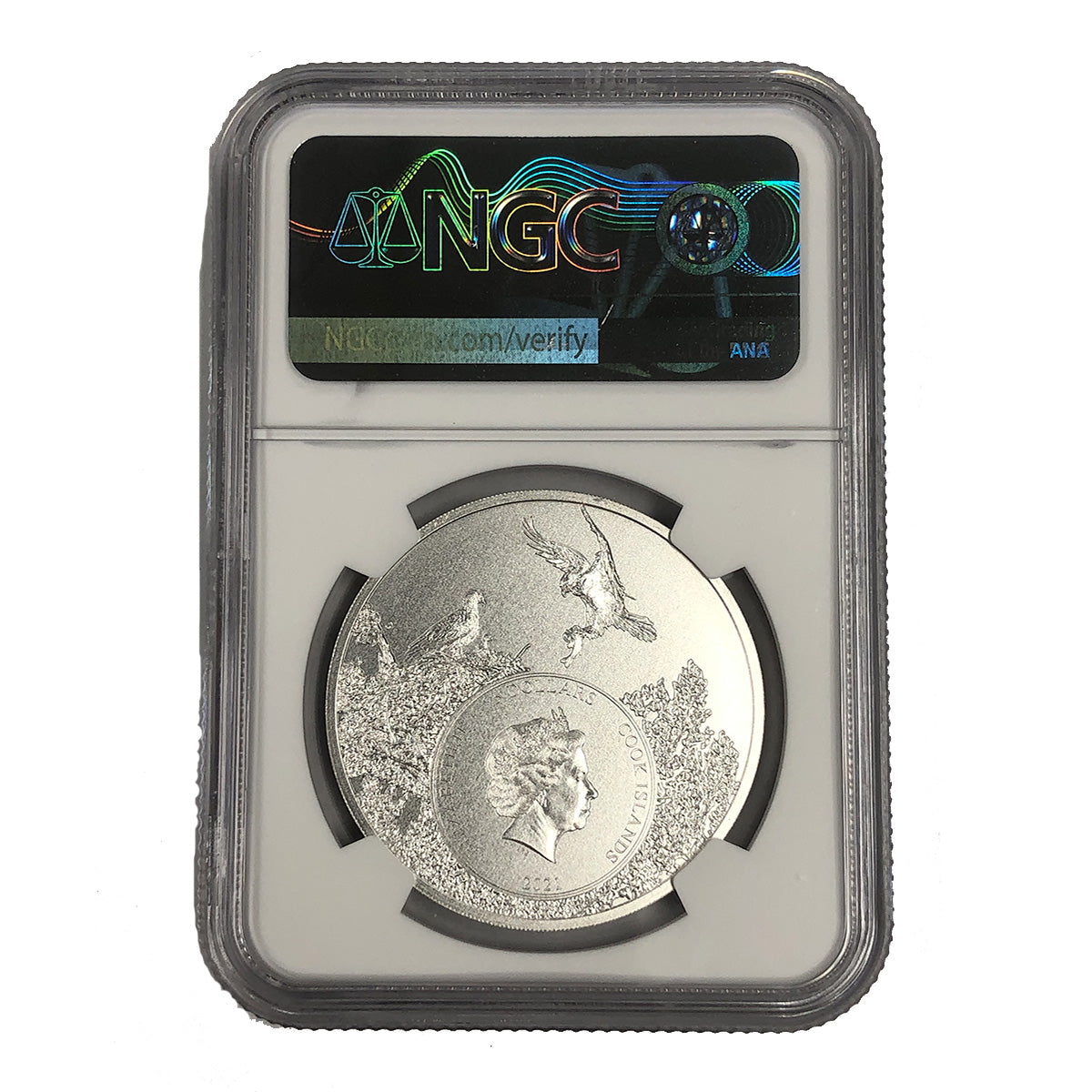 コンゴDR南部産 ポギーオオツノカナブン 81mm 2021 Cook Island 1 oz Silver Colorado Rocky Mountain Bighorn Sheep