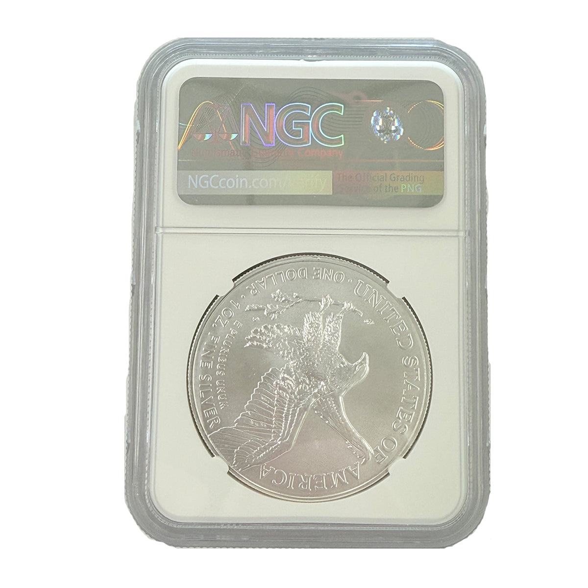 2023 1 oz American Silver Eagle NGC MS69 FDoI