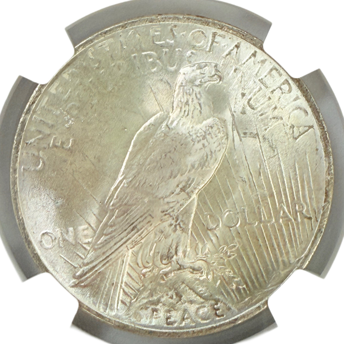 1923 Peace Silver Dollar NGC MS63