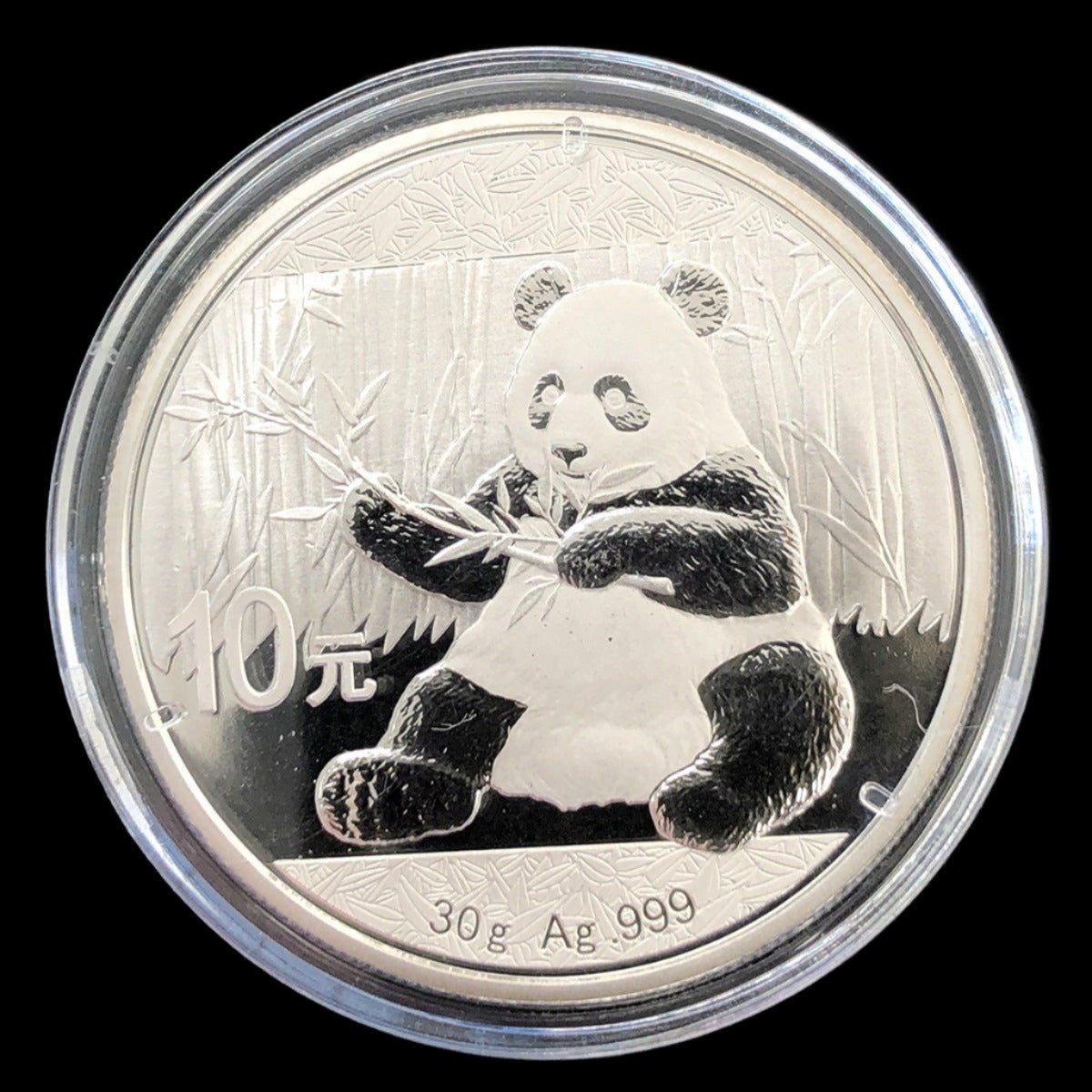 2017 Chinese 30 g Silver Panda
