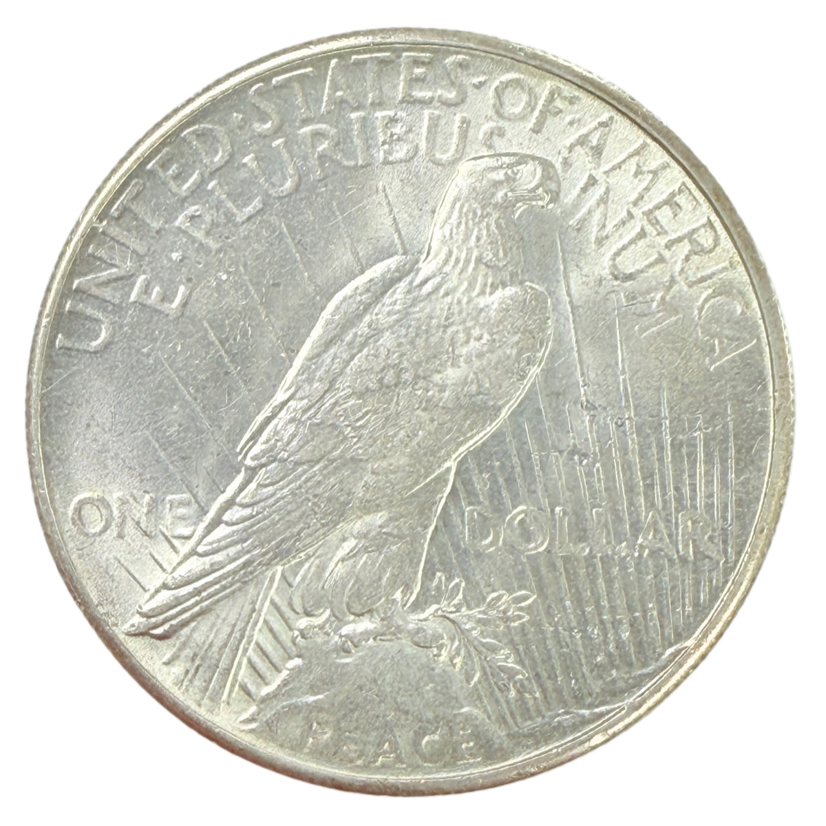 1928 Peace Silver Dollar (BU Details)