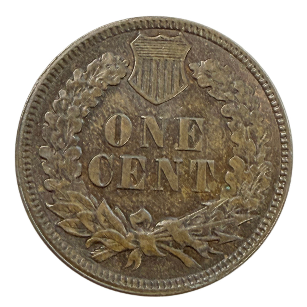 1891 Indian Head Cent (AU)