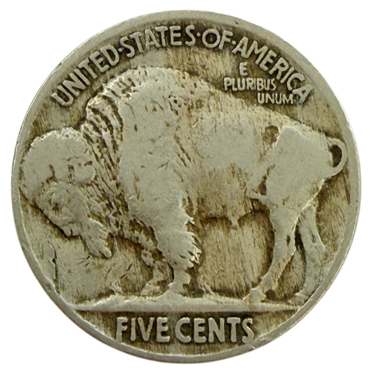 1916 Buffalo Nickel (F)