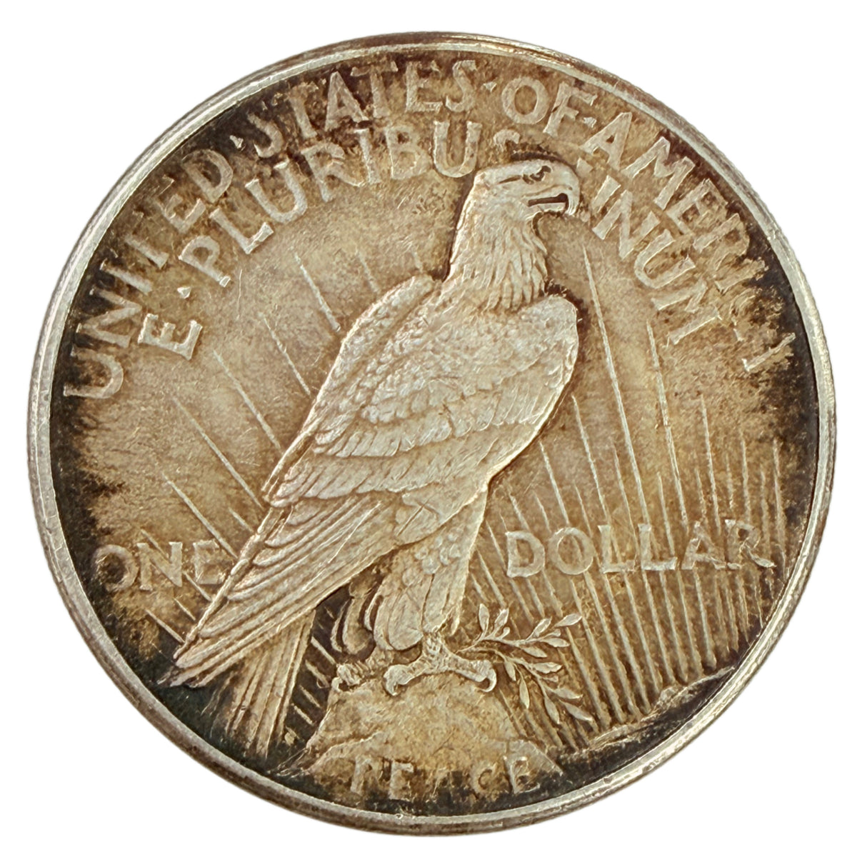 1921 Peace Silver Dollar (XF Details)