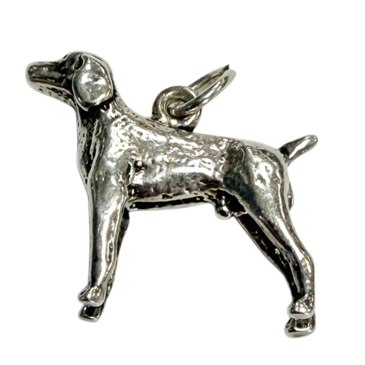 Silver Dog Pendant