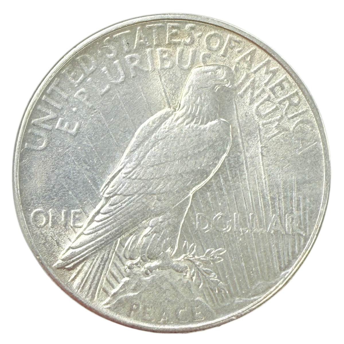 1934 Peace Silver Dollar (AU Details)