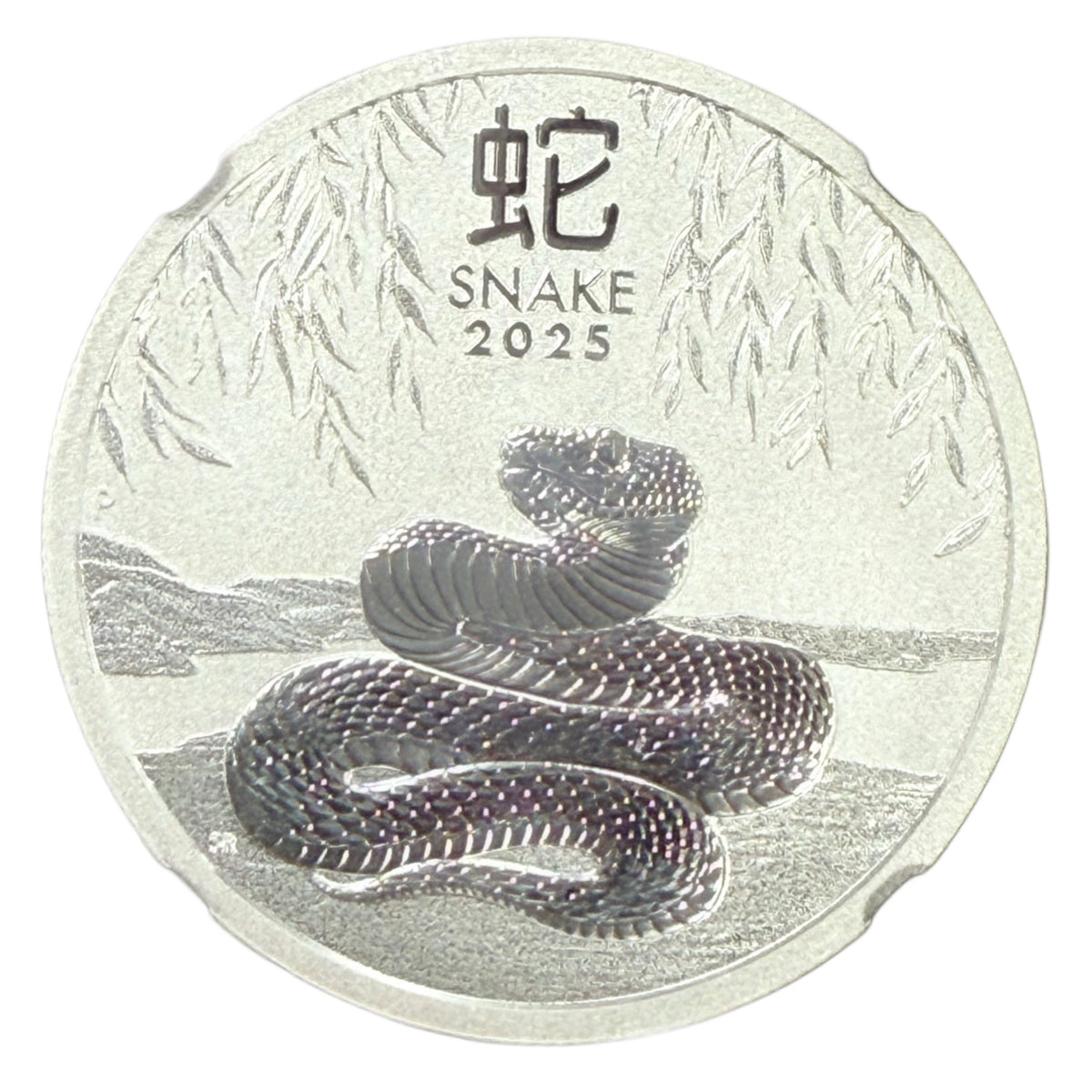2025-P Australia 1/2 oz Silver Year of the Snake NGC MS70