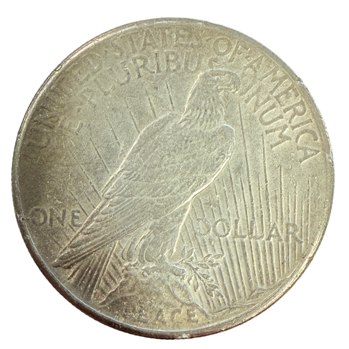 1927 Peace Silver Dollar (XF Details)