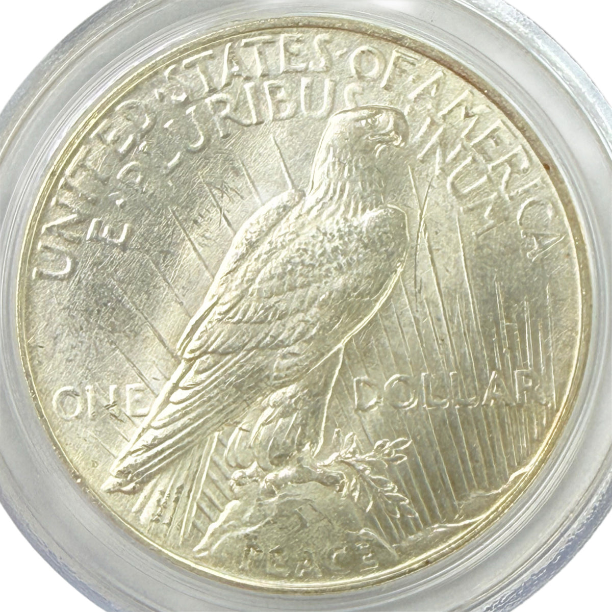 1927-D Peace Silver Dollar PCGS MS63