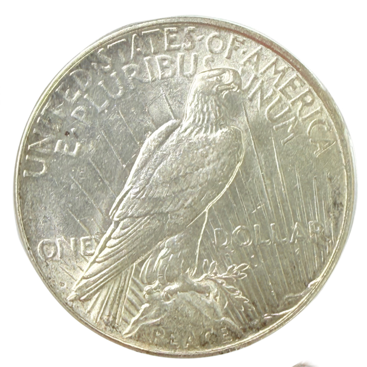 1934-D Peace Silver Dollar PCGS MS63