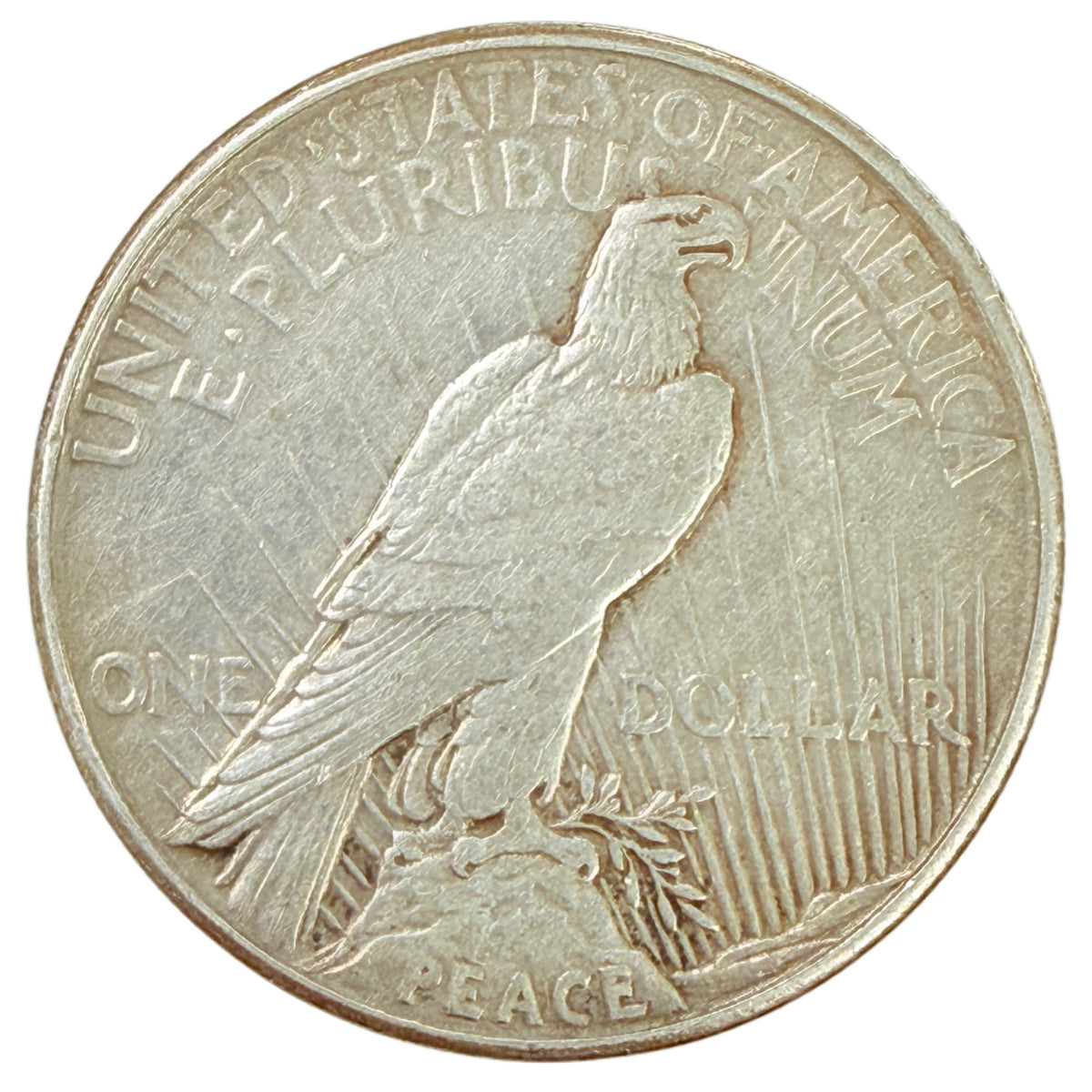 1921 Peace Silver Dollar (VF / XF Details)