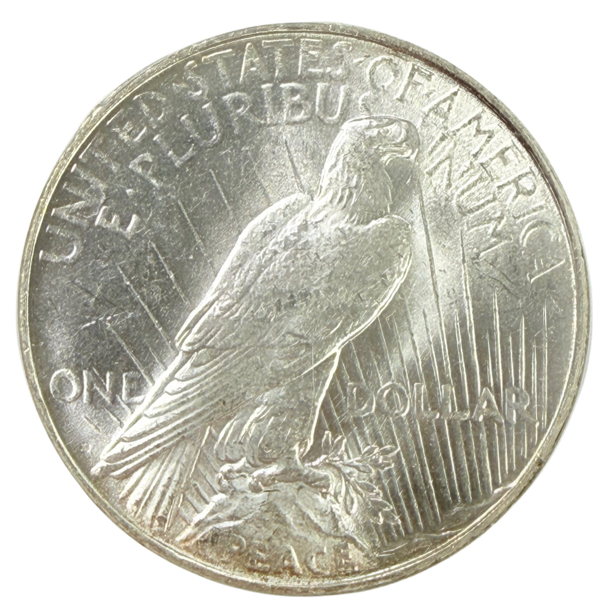 1923-D Peace Silver Dollar PCGS MS62