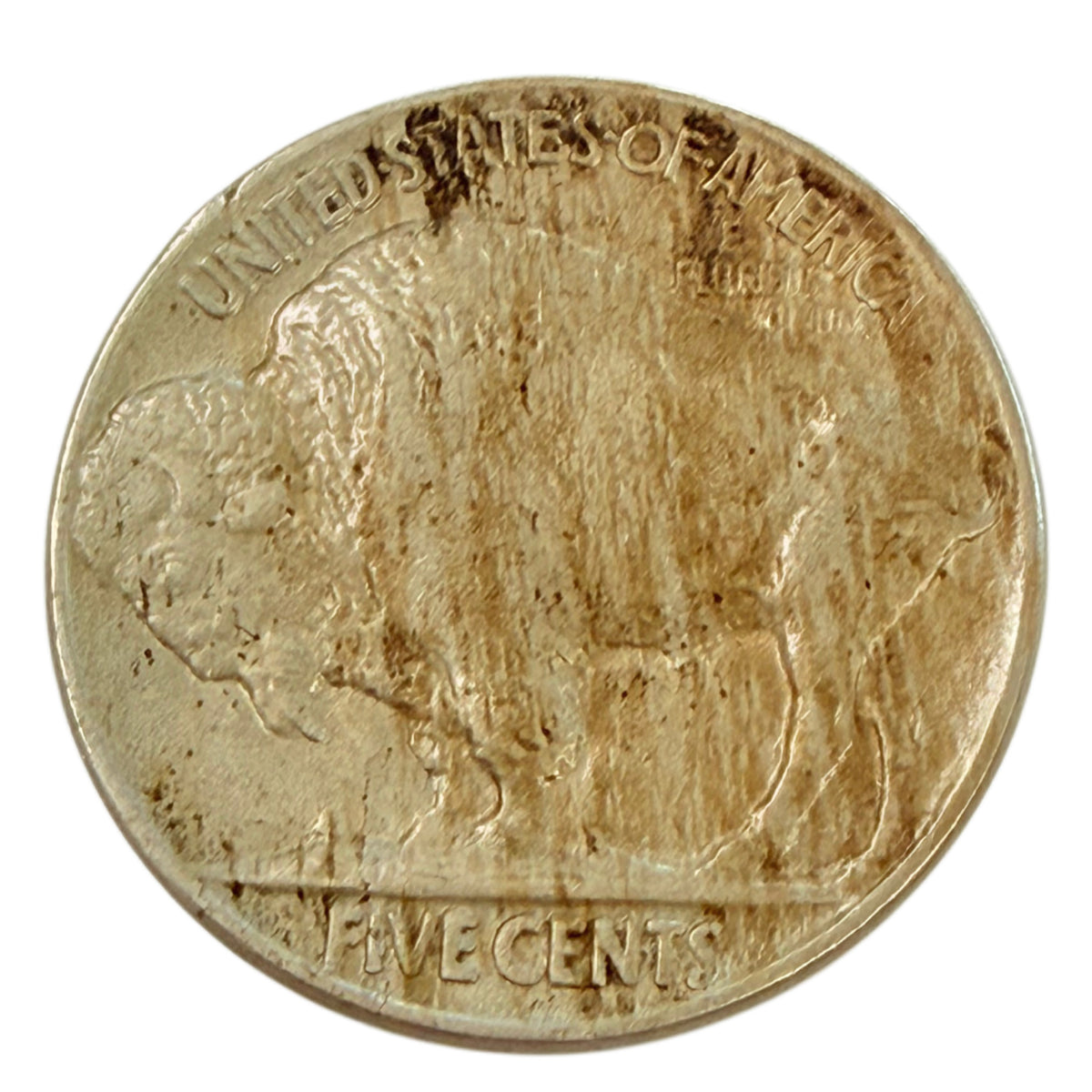 1913 Type 2 Buffalo Nickel (AU)