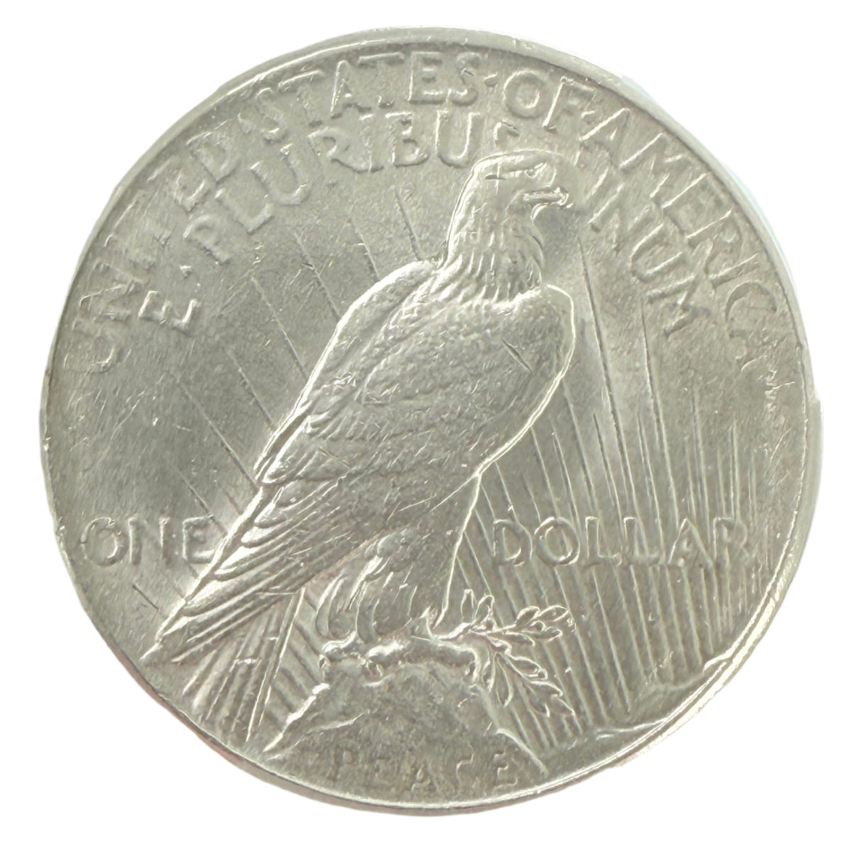 1925 Peace Silver Dollar CAC AU Details (Cleaned)