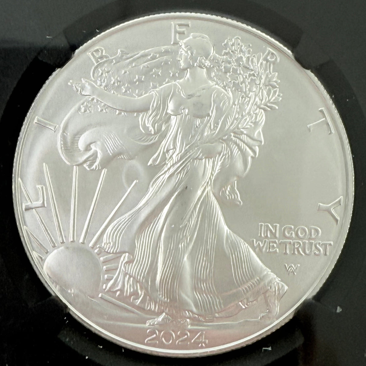 2024 1 oz American Silver Eagle NGC MS70 FDoI