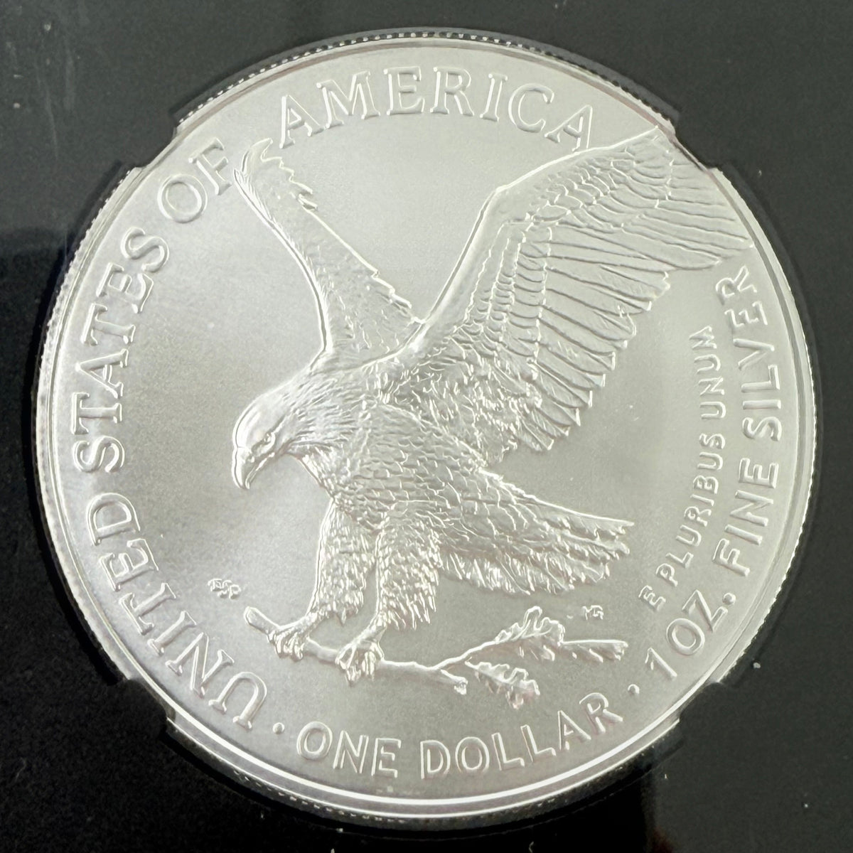 2024 1 oz American Silver Eagle NGC MS70 FDoI