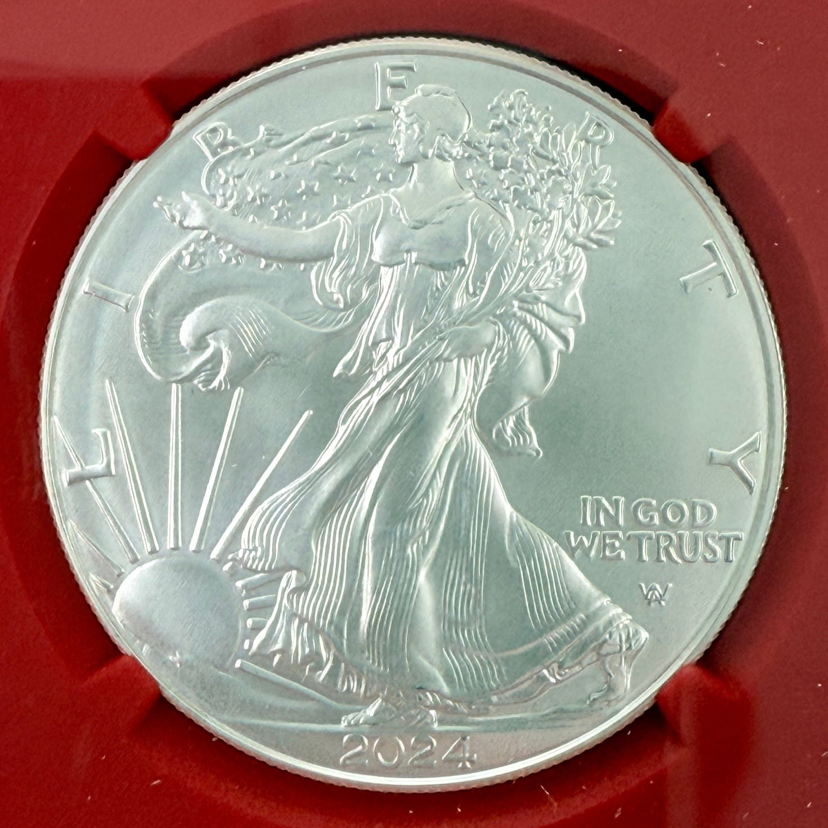 2024 1 oz American Silver Eagle NGC MS70 ER