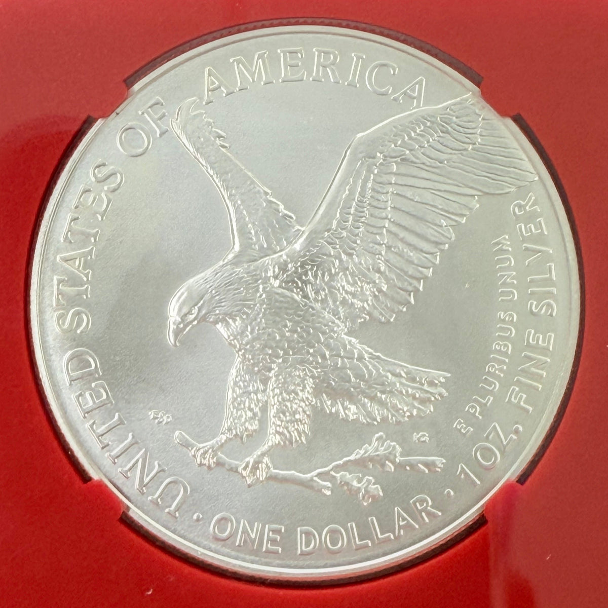 2024 1 oz American Silver Eagle NGC MS70 ER