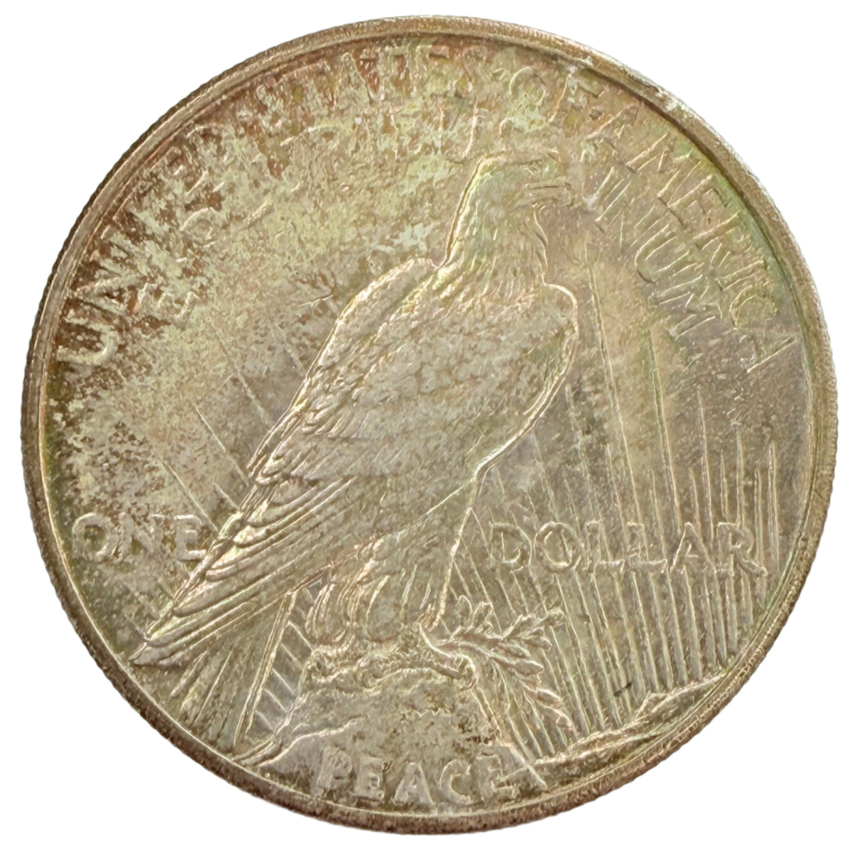 1921 Peace Silver Dollar (AU)