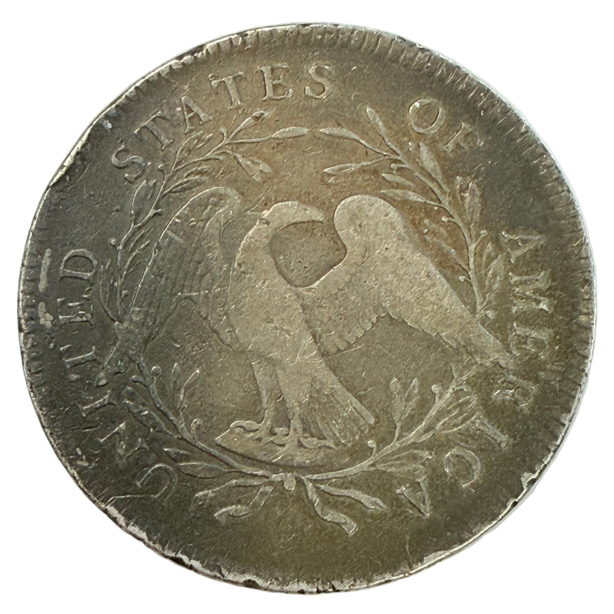 1795 2 Leaves Flowing Hair Silver Dollar (F Details)
