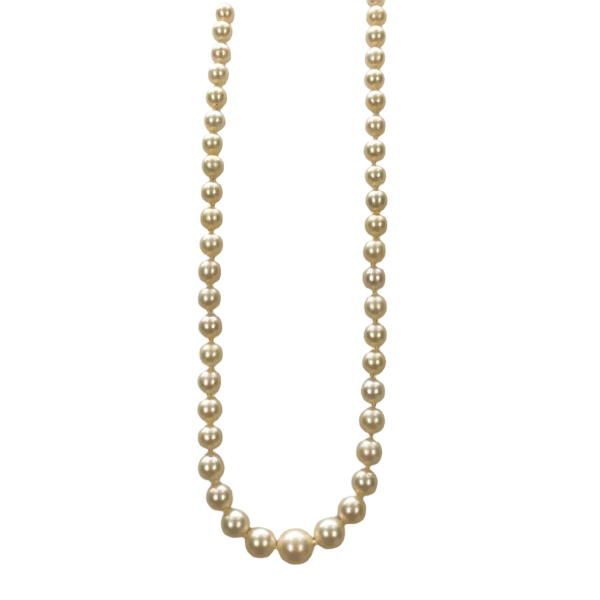 10k Gold &amp; Pearl Necklace