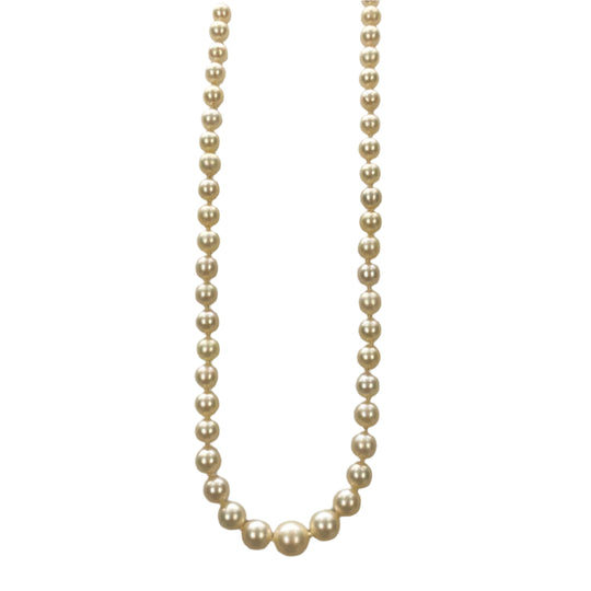 10k Gold & Pearl Necklace