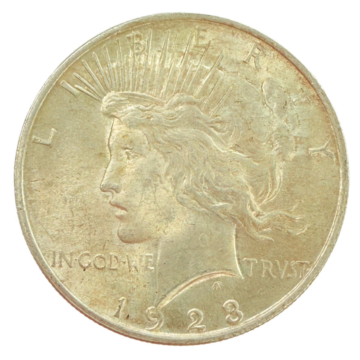 1923 Peace Silver Dollar Error Planchet Flaw Reverse (BU)