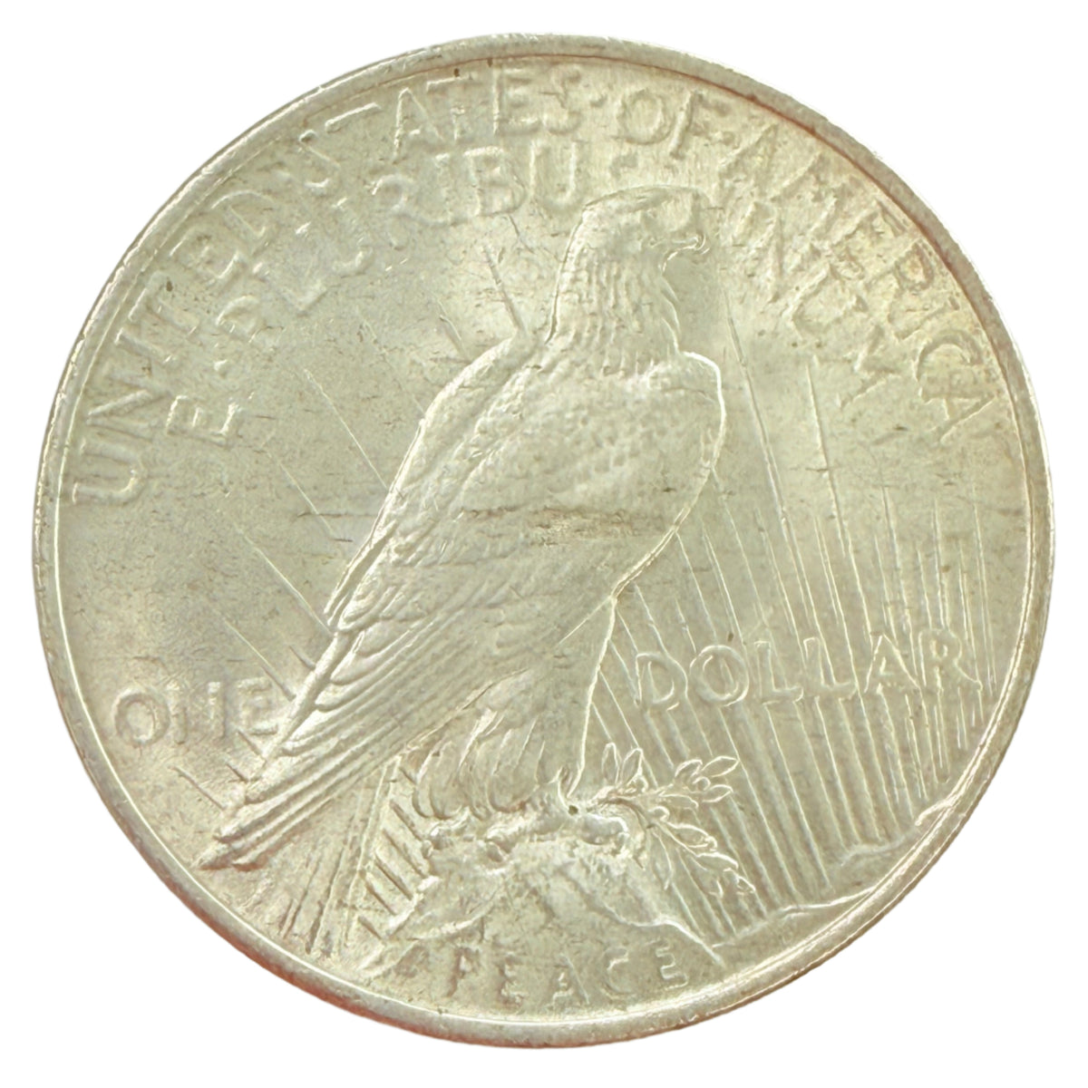 1923 Peace Silver Dollar Error Planchet Flaw Reverse (BU)