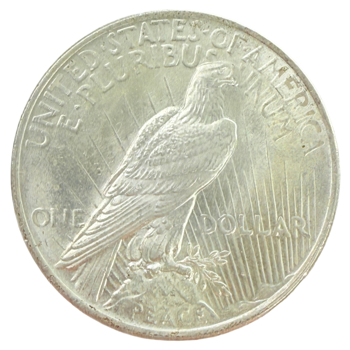 1924 Peace Silver Dollar (BU)
