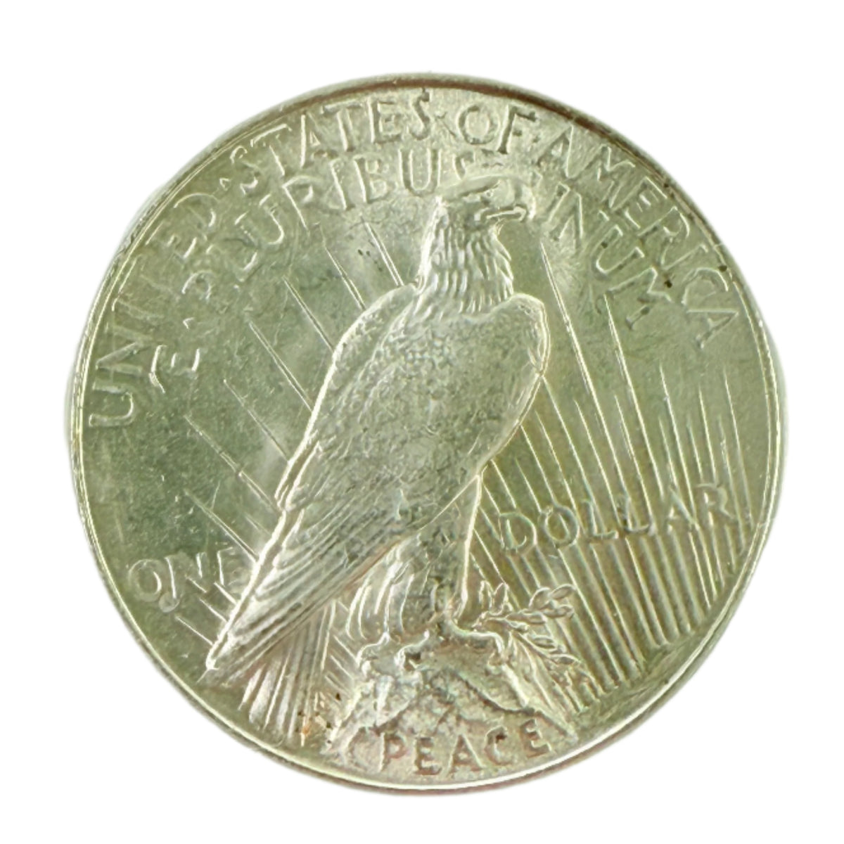 1922 Peace Silver Dollar ANACS MS61