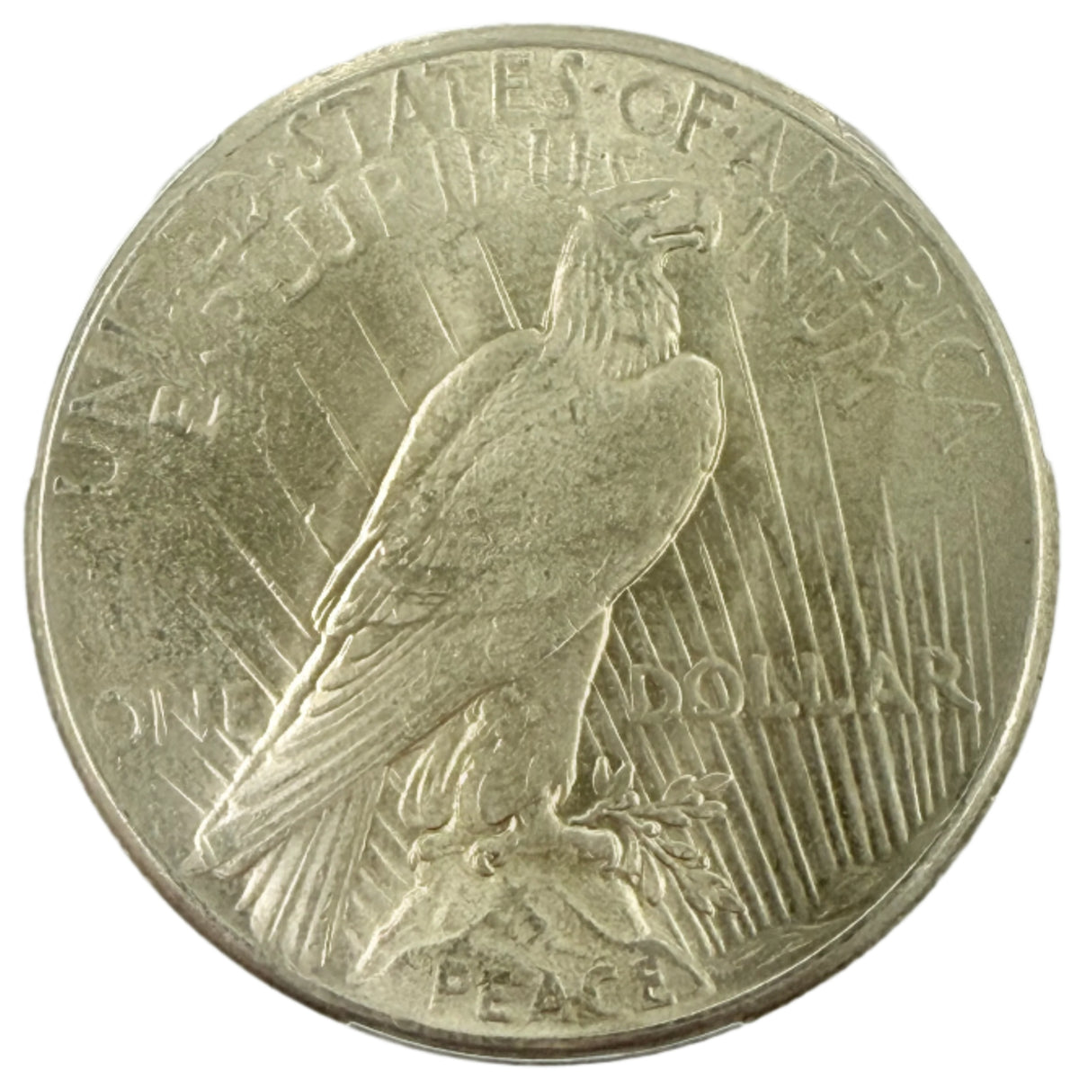 1925 Peace Silver Dollar PCGS MS63