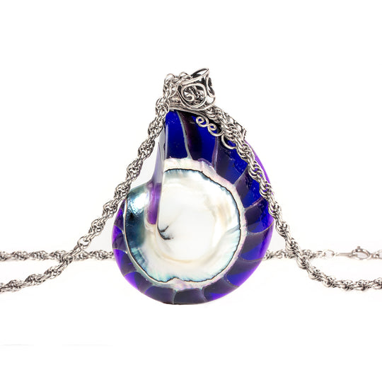 Silver Shell Necklace